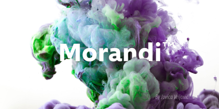 Morandi01