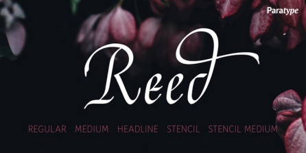 Reed1